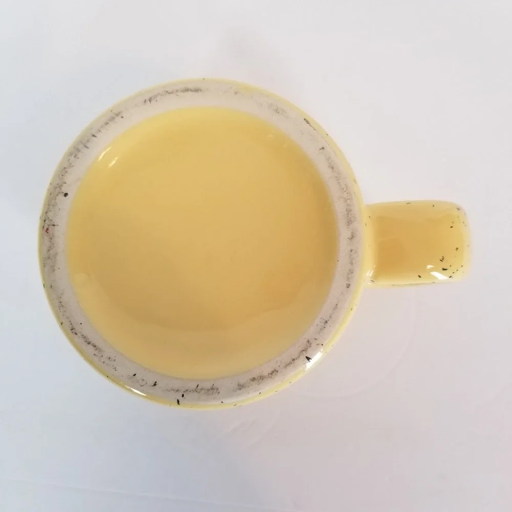 North Dakota Legendary Yellow Speckled Ceramic‎ Campfire Coffee Mug Bison Horse